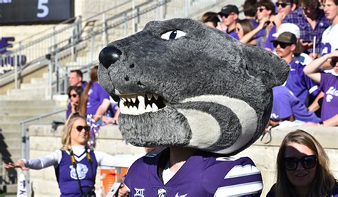 Behind the Scenes: The Making of Willie the Wildcat